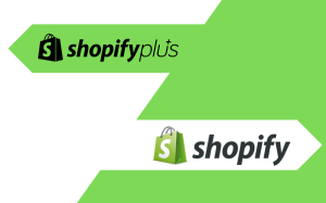 shopify split shipping customization