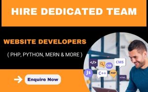 Hire web development team