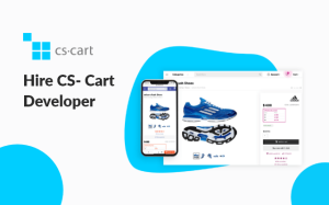 Hire Cs cart developer